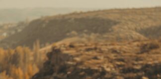 Film En Streaming Gratuit Meilleur Site En Français : Découvrez Pourquoi