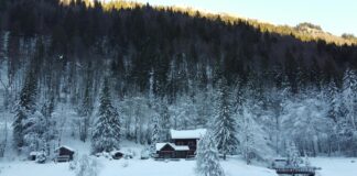 Chute De Neige Aujourd’hui En France : Où Tombe La Neige Magique ?