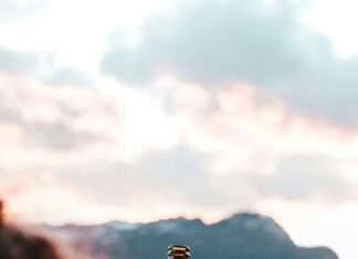 Clinique Saint Jean Sud De France : Découvrez Ses Secrets Incontournables