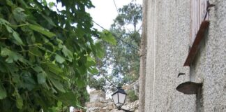 Combien De Médailles Pour La France : Découvrez Le Décompte Incroyable