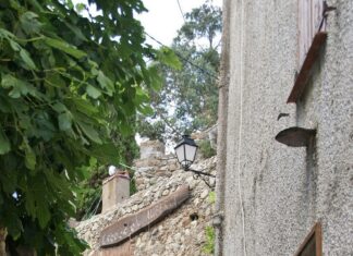 Combien De Médailles Pour La France : Découvrez Le Décompte Incroyable