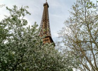 Conseil Régional D Ile De France : Découvrez Ses Secrets Incontournables