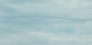 Cours Du Napoléon 20 Francs : Découvrez Son Valeur Surprenante Aujourd’hui